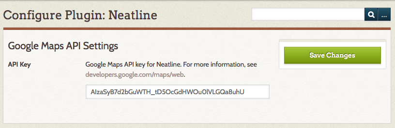 Screenshot of Pasted API Key
